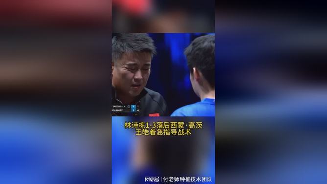 包含中国乒乓球队轻取波兰乒乓球队，王皓完成帽子戏法的词条