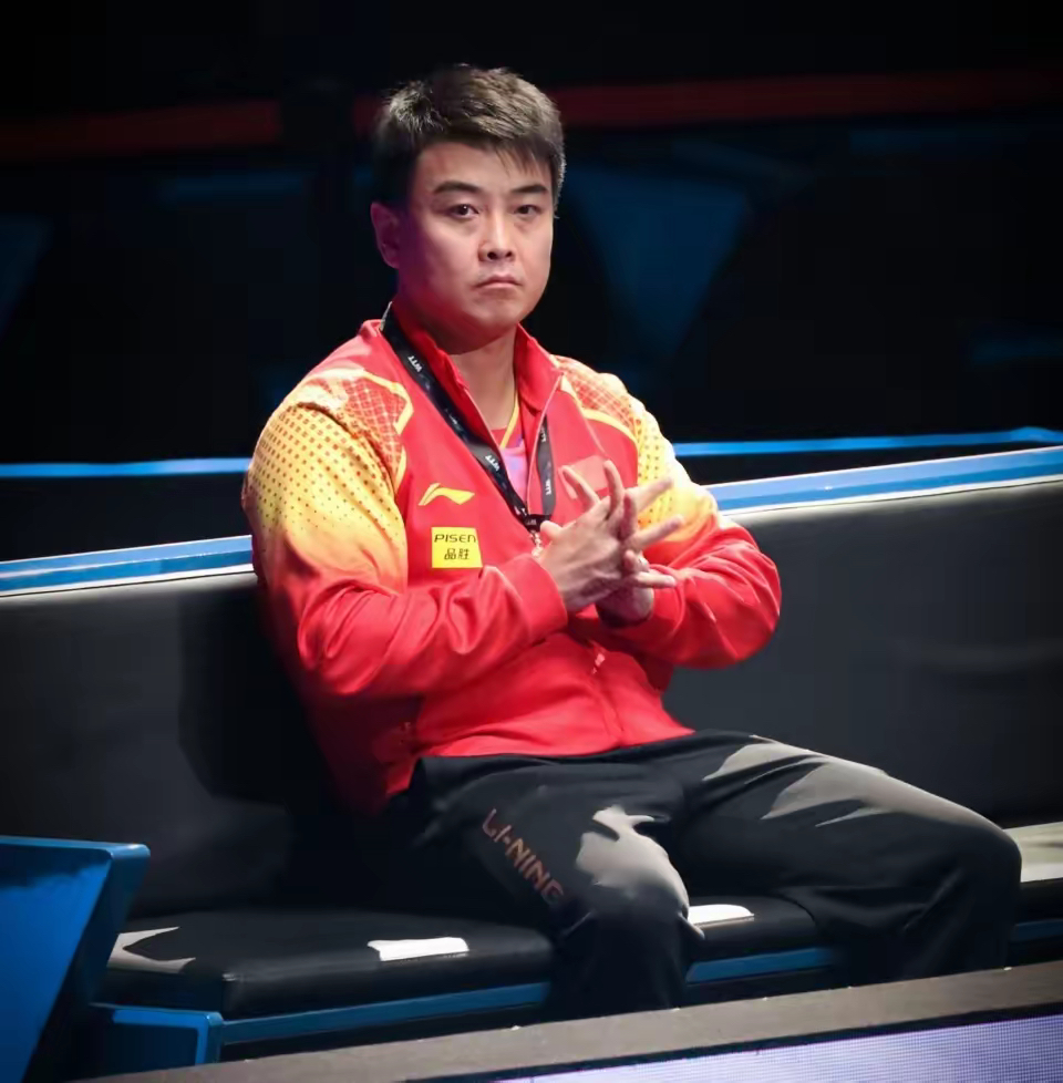 德国乒乓球队绝地反击奥地利乒乓球队，王皓高光表现的简单介绍