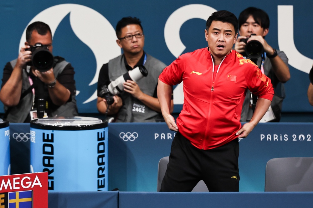 德国乒乓球队绝地反击奥地利乒乓球队，王皓高光表现的简单介绍