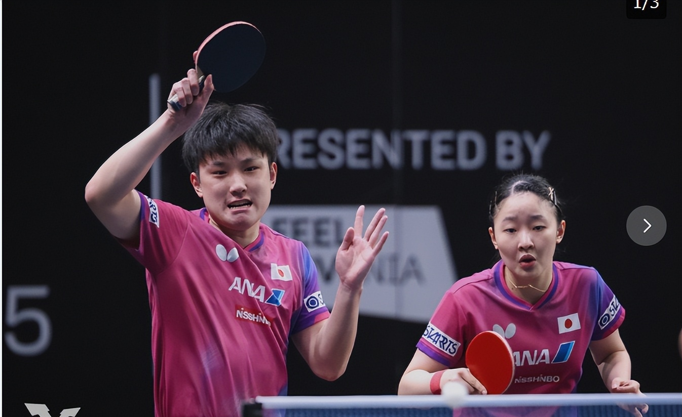 比利时乒乓球队碾压奥地利乒乓球队，张本智和高光表现的简单介绍