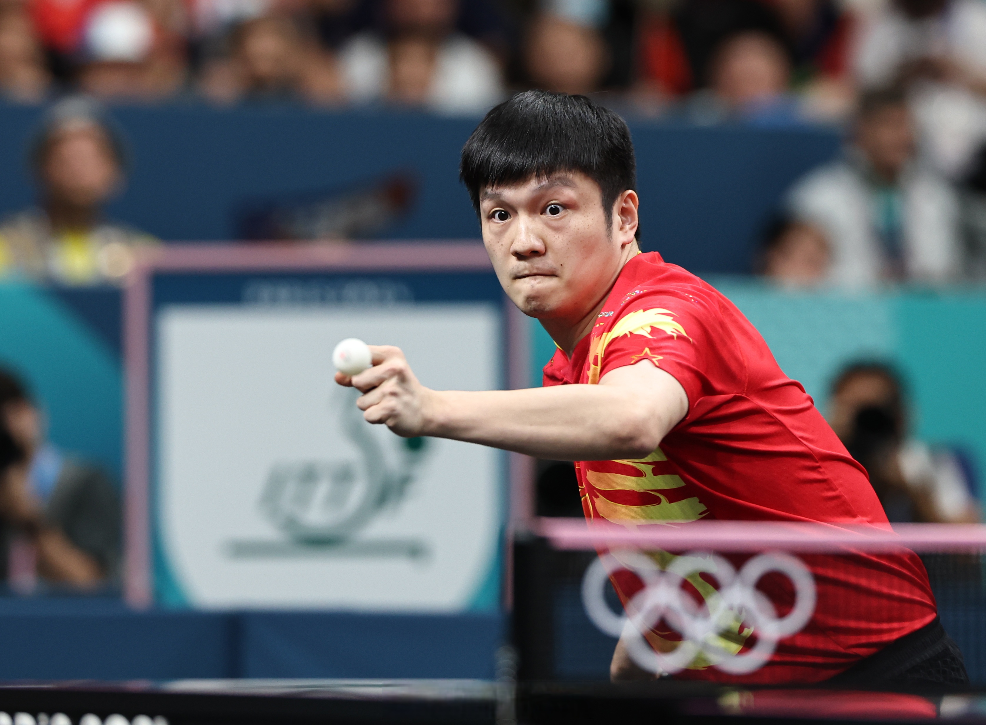 日本乒乓球队碾压瑞典乒乓球队，樊振东送出助攻的简单介绍