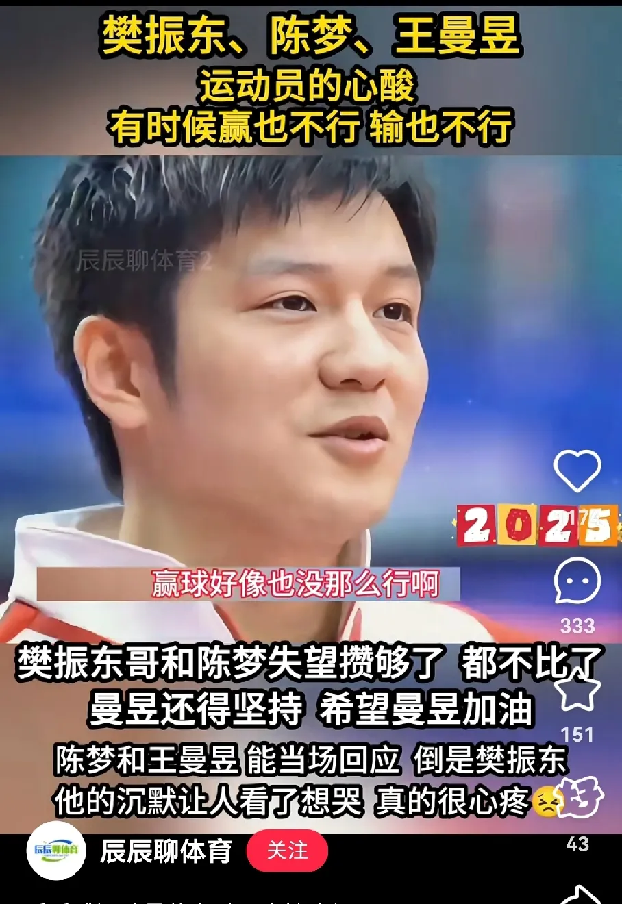 日本乒乓球队碾压瑞典乒乓球队，樊振东送出助攻的简单介绍